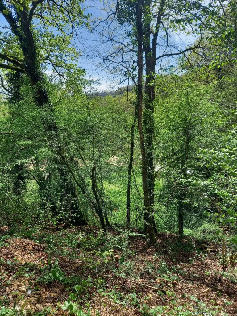 Informations utiles au Camping Terre Rouge