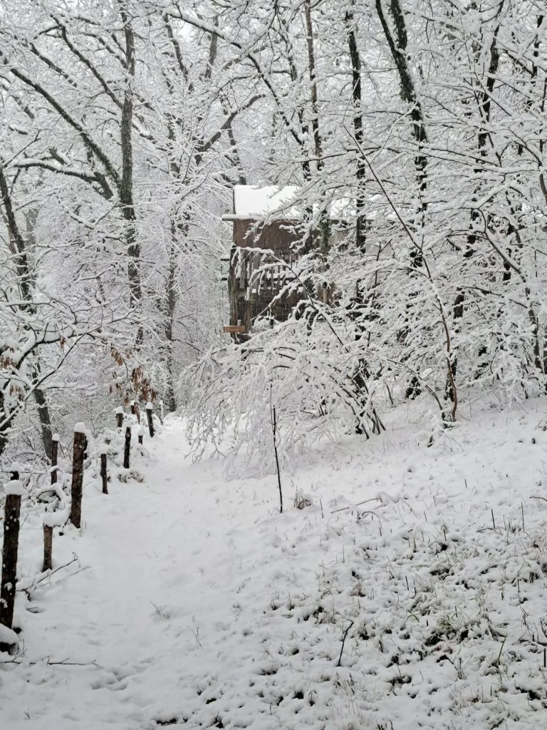 Décembre 2025 : Terre Rouge sous la neige
